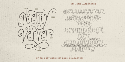 Poetry Velvet Font Poster 8