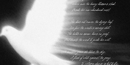 Sunday Poetry Font Poster 8