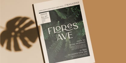 CCS Neue Carla Sans Font Poster 10