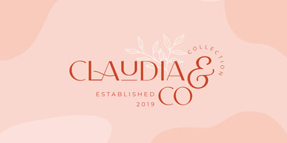 CCS Neue Carla Sans Font Poster 12