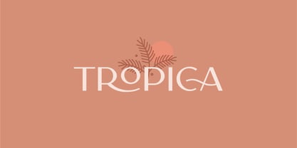 CCS Neue Carla Sans Font Poster 4