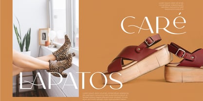CCS Neue Carla Sans Font Poster 3