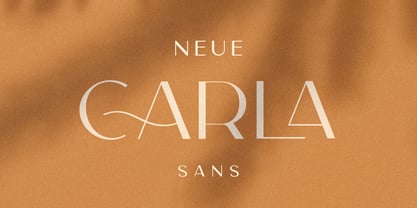 CCS Neue Carla Sans Font Poster 1