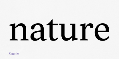 Textworthy Serif Font Poster 4