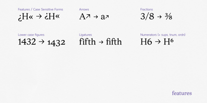 Textworthy Serif Font Poster 12