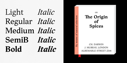 Textworthy Serif Font Poster 2
