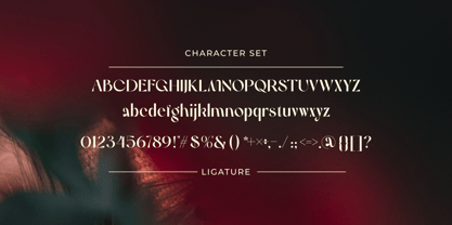 Relaku Font Poster 5