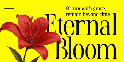 Evoire Font Poster 8