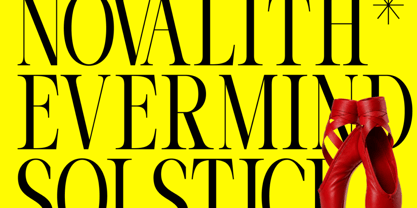 Evoire Font Poster 6