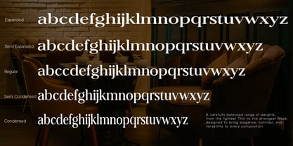 Dravion Serif Font Poster 12