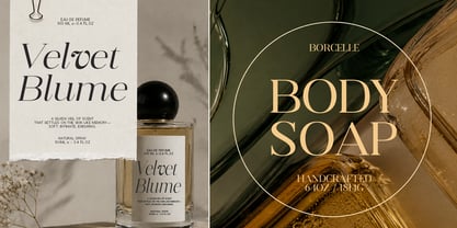 Dravion Serif Font Poster 7
