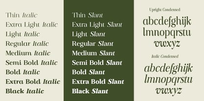 Dravion Serif Font Poster 4