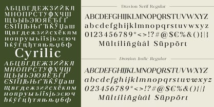 Dravion Serif Font Poster 5