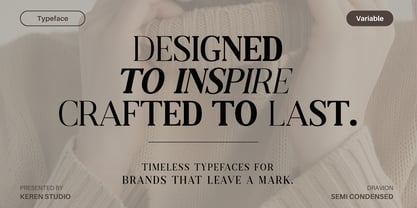 Dravion Serif Font Poster 11