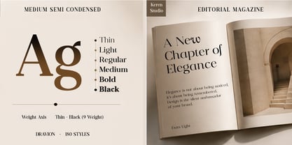 Dravion Serif Font Poster 2