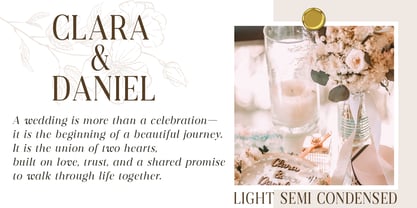 Dravion Serif Font Poster 9