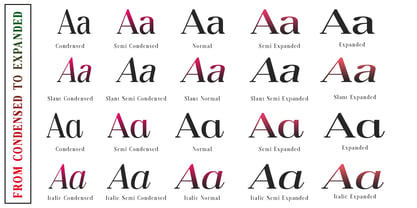 Dravion Serif Font Poster 6