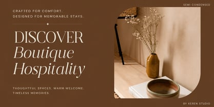 Dravion Serif Font Poster 8