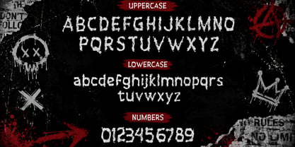 Trasy Brush Font Poster 5