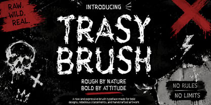 Trasy Brush Font Poster 1