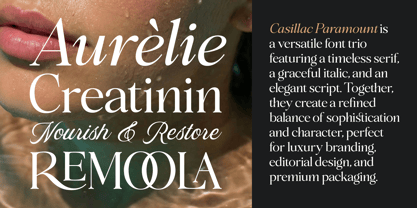 The Casillac Paramount Serif Font Poster 8