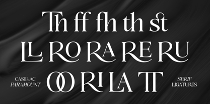 The Casillac Paramount Serif Font Poster 11