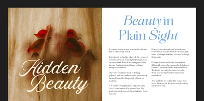 The Casillac Paramount Serif Font Poster 4