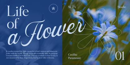 The Casillac Paramount Serif Font Poster 5