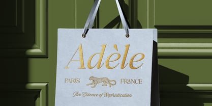 The Casillac Paramount Serif Font Poster 9