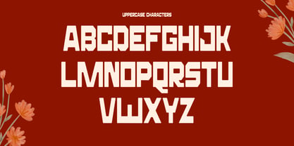 Fulava Font Poster 12