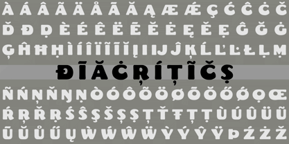 Fat Freddie Font Poster 12