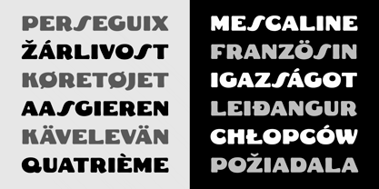 Fat Freddie Font Poster 9