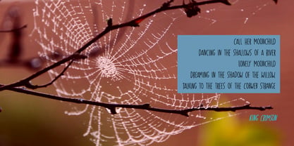 Cobweb Afternoon Pro Font Poster 5
