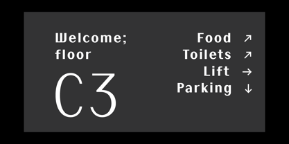 Little Micro Sans Font Poster 3
