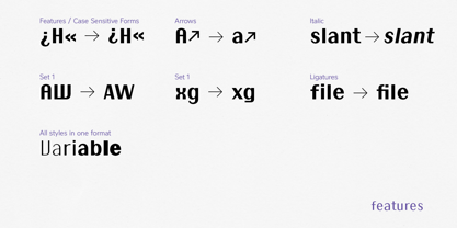Little Micro Sans Font Poster 12