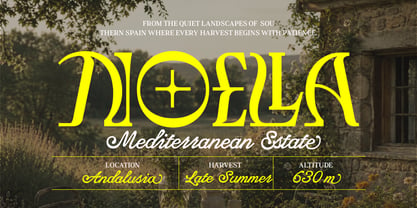 The Villas Font Poster 8
