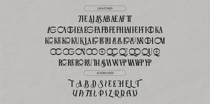 The Villas Font Poster 10