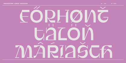 RF Rack Font Poster 4