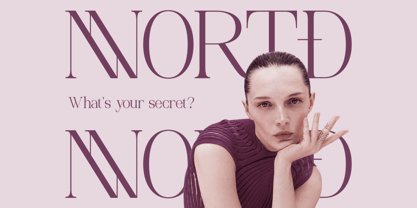 Palgrace Font Poster 4