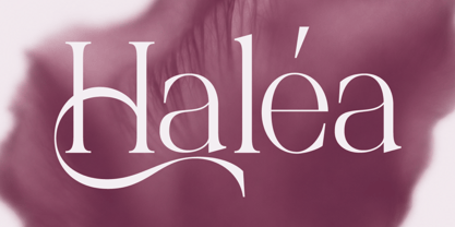 Palgrace Font Poster 3