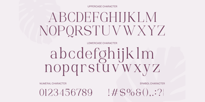 Palgrace Font Poster 2