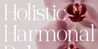 Palgrace Font Poster 5