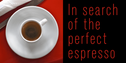 Standard CT Font Poster 9