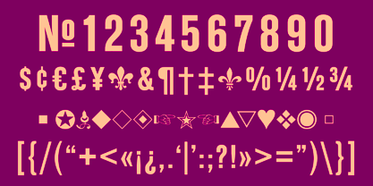 Standard CT Font Poster 5