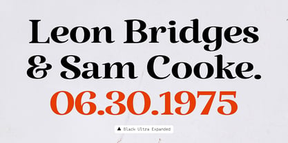 Cotnes Font Poster 9
