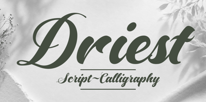 Driest Font Poster 1