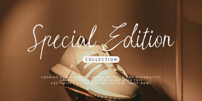 Fans Secret Font Poster 2