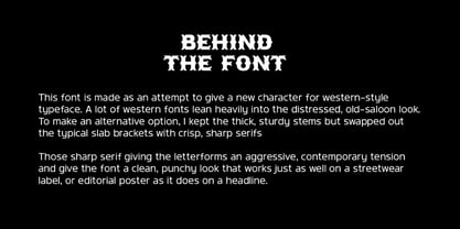 Mostern Font Poster 2