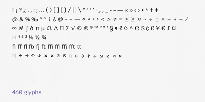 Wild Title Sans Font Poster 11
