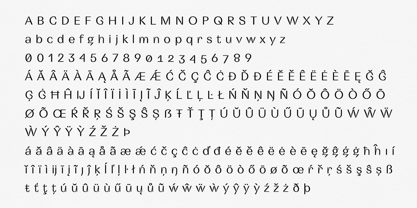 Wild Title Sans Font Poster 10